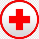 МЕДИЦИНА 💊 АНАТОМИЯ 🦠 ХИРУРГИЯ