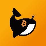 Bitcoin Price