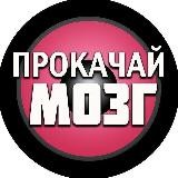 Прокачай Мозг | Курсы | Бесплатное образование
