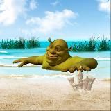 БОЛОТО ШРЕКА