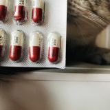 Лирика Махачкала Каспийск Дербент