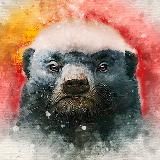 Медоеды на каждый день