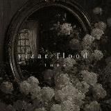 ¡freezing! 𝐕𝐈𝐙𝐀𝐑||𝐢𝐧𝐟𝐨 𝐜𝐡𝐚𝐧𝐧𝐞𝐥