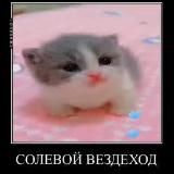 Солевой Вездеход