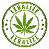 Бизнес идеи 2025