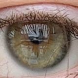 location market чат