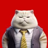 Маркетинговый Кот