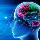 Целостная женственность - Светлана Бакум