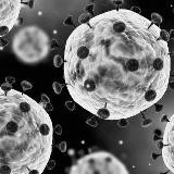 Business Coronavirus