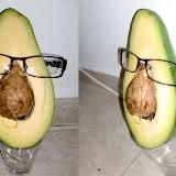 proc artist in aсtion