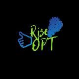 Электронки оптом RISE OPT