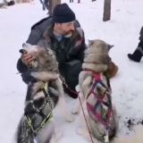 🐕🐕🐕---Роман с Хаски ЧАТ