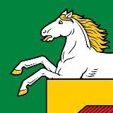 Новокузнецкий Конь. Новости. Афиша.