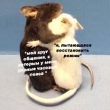 (Общалочка)