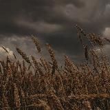 реклама ` свет