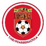 ФК "Арсенал" Тула