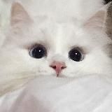 мои сохры ♡