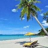 🐾Одежда для собак