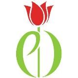 Мозг в порядке🧠