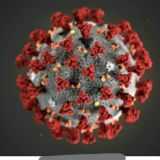 QuaraCash | Зароботок в интернете во время карантина