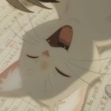 даркнайт 彡