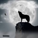 Одинокий__волк