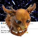 Видео в 🎁🎁🎁