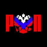 РУССКИЙ ПАРТИЗАН | Z