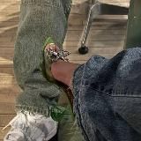 Эстетичные графический дизайн