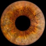 LobbyOchakova🌞🌊