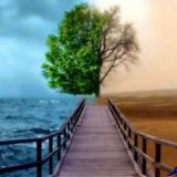 روانشناسی،موفقیت،زندگی❤