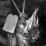 Шорты Белокаменцева