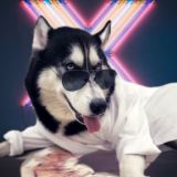 | Хаски Кипр 🏕