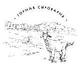 Скажите JAZZ Фестиваль Маркет и Джаз клуб