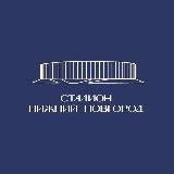 Стадион «Нижний Новгород»