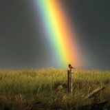 Стоп, депрессия!