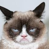 Бухтельная | Калинин - о футболе