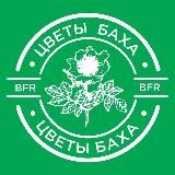 ЦВЕТЫ БАХА - BACH REMEDY