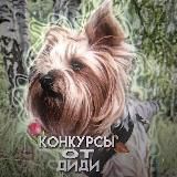 Конкурсы от Диди