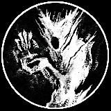 𝙒𝘽:𝗦𝙝𝙖𝗿𝗸𝗸