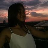 A L L I G A T O R 🔰