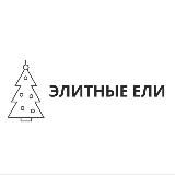 Элитные ели | Elitnye-eli.ru