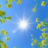 ☀️Терапия Души ☀️ Ольга Март☀️