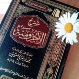 اللغة العربية | Arabiyahh