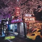 Wanderlust Woman • Туры в Корею • Японию