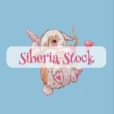 siberia stock