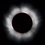 Republic News Network 🇺🇸