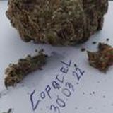 Отзывы "CopaceL"