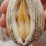 SEX STUDENTKI ❤️🔥