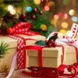 🎁Новогодняя франшиза 🎄